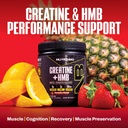 nutrabio-creatine-hmb-creatine-monohydra-4.jpg