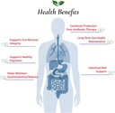 foods-for-gut-saccharomyces-boulardii-pr-4.jpg