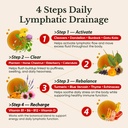 venture-pal-16-in-1-lymphatic-drainage-d-3.jpg