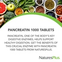 naturesplus-pancreatin-1000-mg-60-tablet-3.jpg