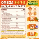 omega-3-6-7-9-gummies-organic-sea-buckth-2.jpg
