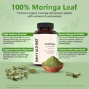 800mg-moringa-capsules-pure-moringa-for--6.jpg