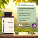 800mg-moringa-capsules-pure-moringa-for--4.jpg