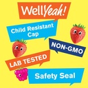 wellyeah-sugar-free-fiber-gummies-for-ki-3.jpg