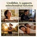 12-in-1-urolithin-a-supplement-mitochond-6.jpg