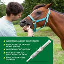 ramard-total-energy-and-stamina-support--3.jpg