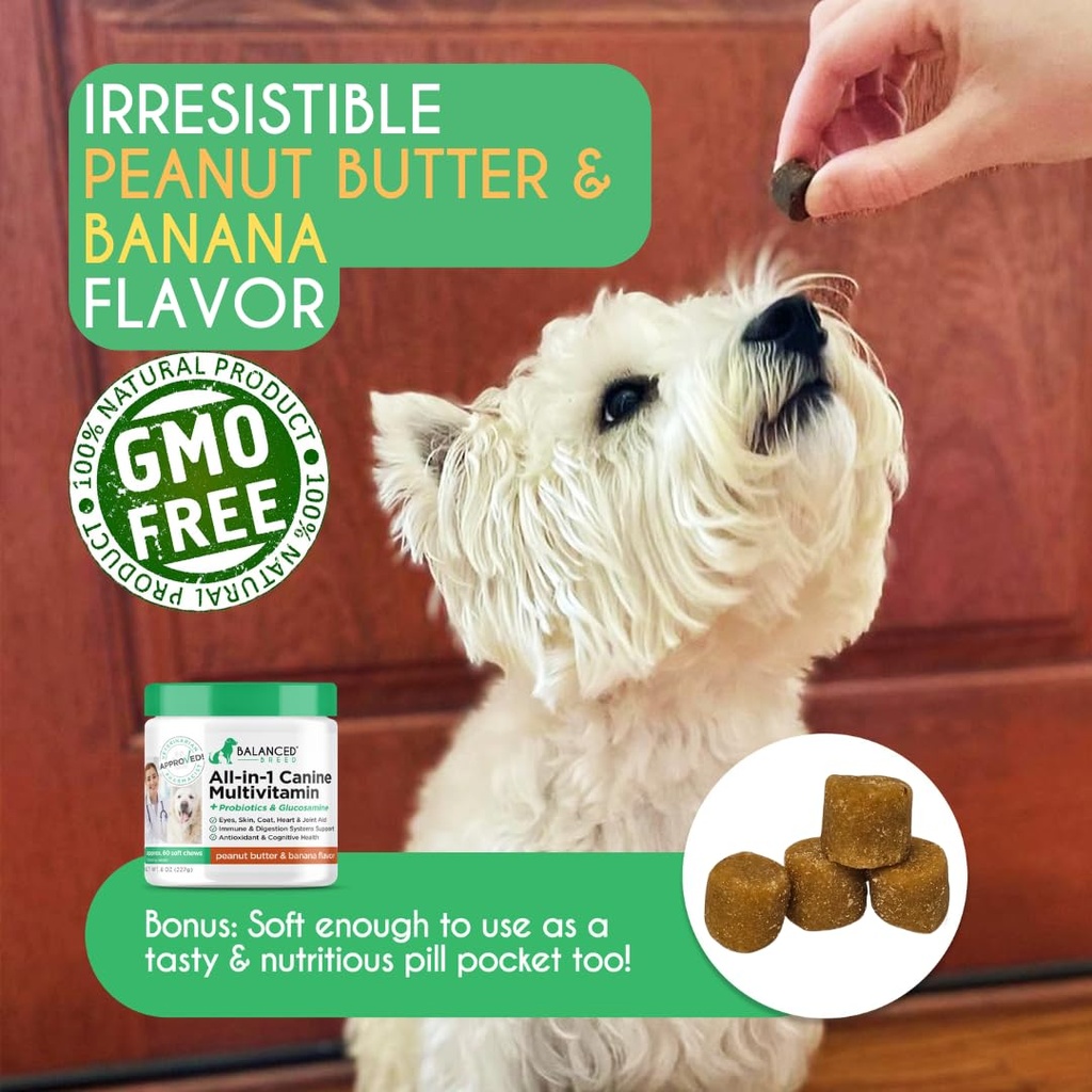 balanced-breed-all-in-1-dog-vitamins-sup-5.jpg