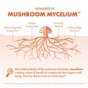 host-defense-cordyceps-extract-immune-en-4.jpg