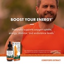 host-defense-cordyceps-extract-immune-en-5.jpg