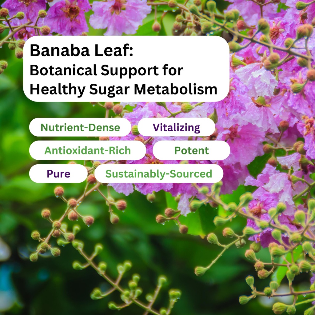 paradise-herbs-banaba-leaf-12-1-concentr-5.jpg