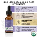 herb-lore-organic-poke-root-tincture-for-2.jpg