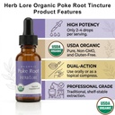 herb-lore-organic-poke-root-tincture-for-5.jpg