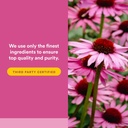 natural-factors-anti-v-formula-healthy-i-5.jpg