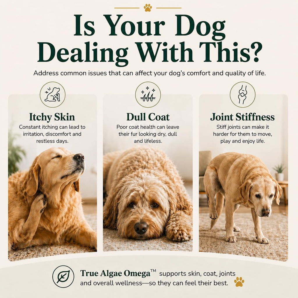 omega-3-for-dogs-cats-plant-based-algae--3.jpg