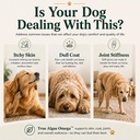 omega-3-for-dogs-cats-plant-based-algae--3.jpg