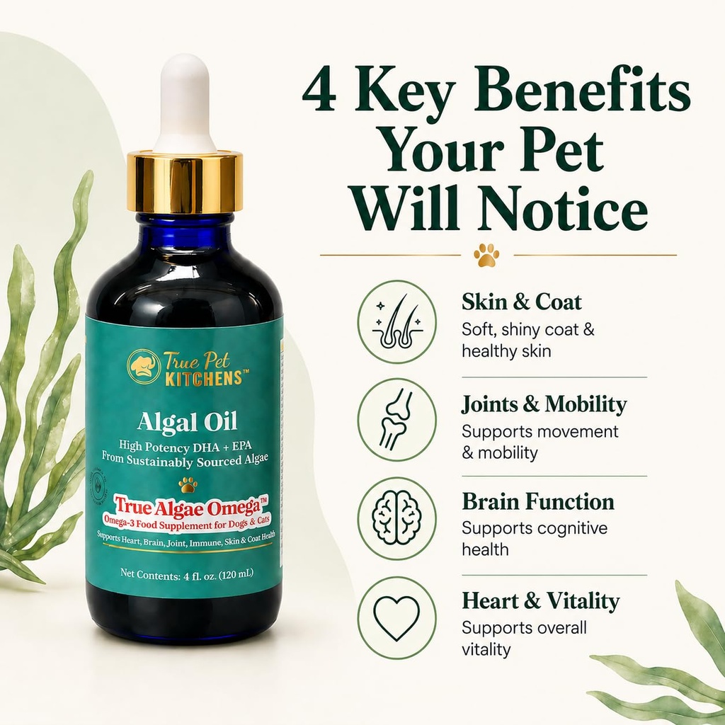 omega-3-for-dogs-cats-plant-based-algae--2.jpg