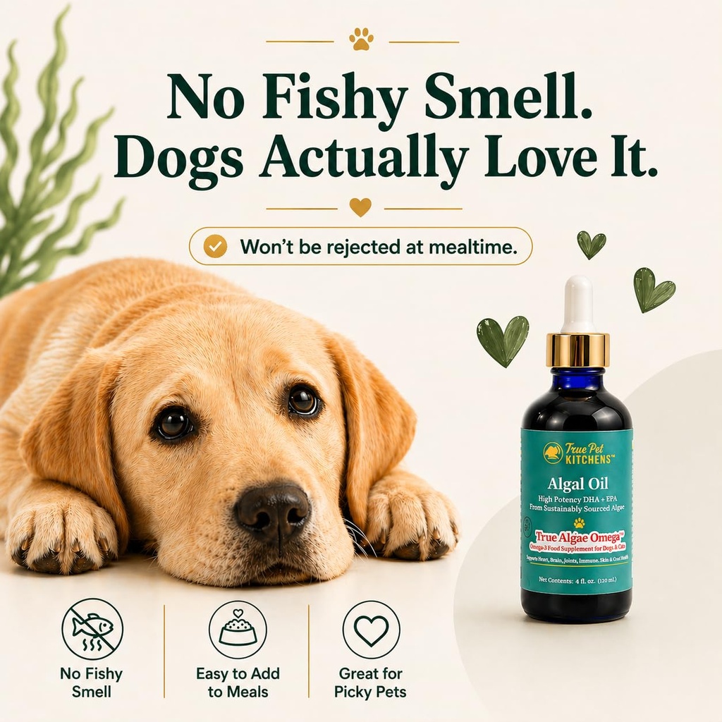 omega-3-for-dogs-cats-plant-based-algae--5.jpg