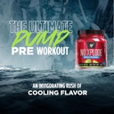 bsn-n-o-xplode-cool-rush-pre-workout-pow-4.jpg