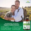 zazzee-usda-organic-mullein-leaf-extract-5.jpg