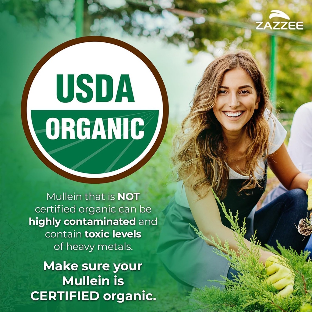 zazzee-usda-organic-mullein-leaf-extract-6.jpg