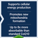 life-extension-super-ubiquinol-coq10-pqq-4.jpg