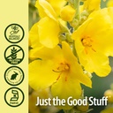 nature-s-answer-mullein-leaf-fluid-extra-5.jpg