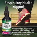nature-s-answer-mullein-leaf-fluid-extra-4.jpg