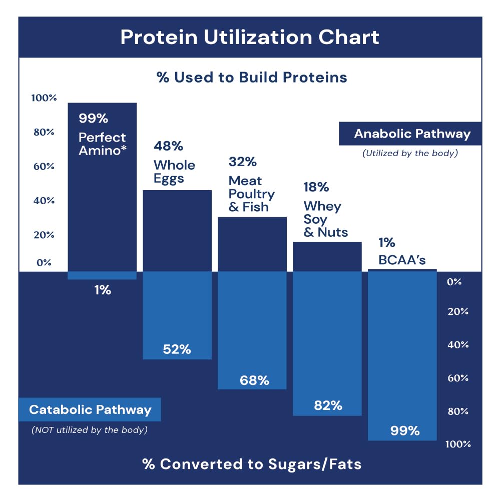 bodyhealth-perfectamino-powder-bcaa-and--5.jpg