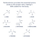 bodyhealth-perfectamino-powder-bcaa-and--4.jpg