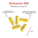 arg-berberine-500-500-mg-berberine-hcl-m-6.jpg