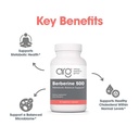 arg-berberine-500-500-mg-berberine-hcl-m-5.jpg