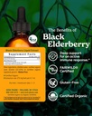 herb-pharm-certified-organic-black-elder-2.jpg