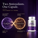 coq10-powerful-antioxidant-capsules-coq1-4.jpg
