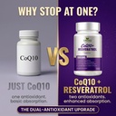 coq10-powerful-antioxidant-capsules-coq1-3.jpg