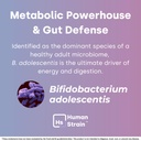 human-strain-bifidobacterium-adolescenti-2.jpg