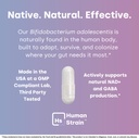 human-strain-bifidobacterium-adolescenti-4.jpg