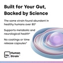 human-strain-bifidobacterium-adolescenti-5.jpg