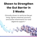 human-strain-bifidobacterium-adolescenti-6.jpg