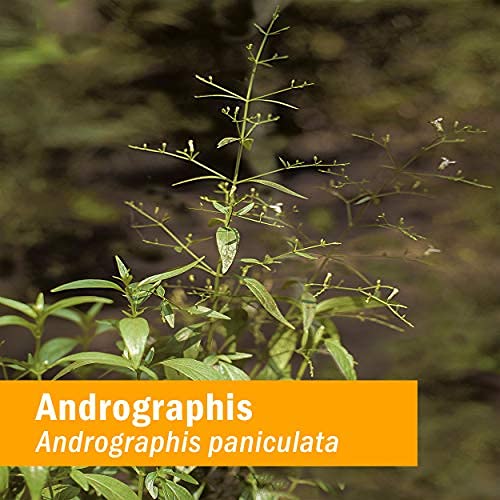 herb-pharm-andrographis-liquid-extract-f-5.jpg