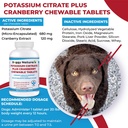 potassium-citrate-plus-cranberry-supplem-2.jpg