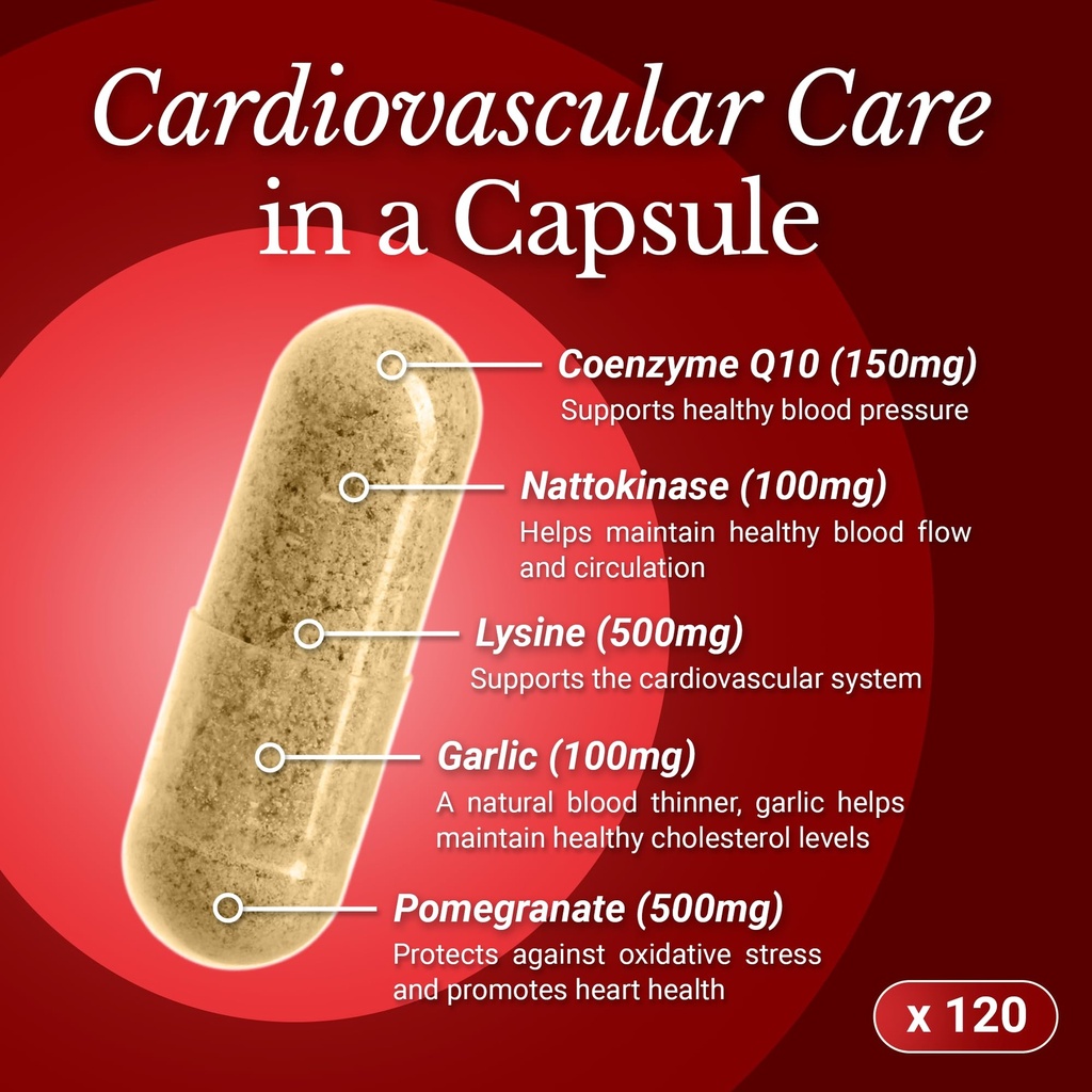 coq10-cardiovascular-supplement-150mg-co-4.jpg