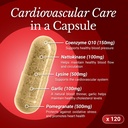 coq10-cardiovascular-supplement-150mg-co-4.jpg