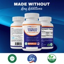 vitamatic-bacillus-subtilis-10-billion-p-6.jpg
