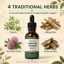 natures-roots-lymphatic-drainage-drops-n-5.jpg