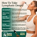 lymphatic-drainage-drops-for-bloat-relie-6.jpg