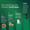 elavyn-lymphatic-drainage-drops-flow-by--2.jpg