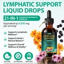 lymphatic-drainage-supplements-drops-21--3.jpg