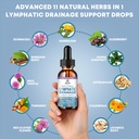 lymphatic-drainage-support-drops-advance-2.jpg