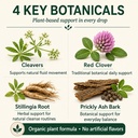 lymphatic-drainage-drops-4-in-1-organic--2.jpg
