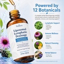liposomal-lymphatic-drainage-drops-advan-2.jpg